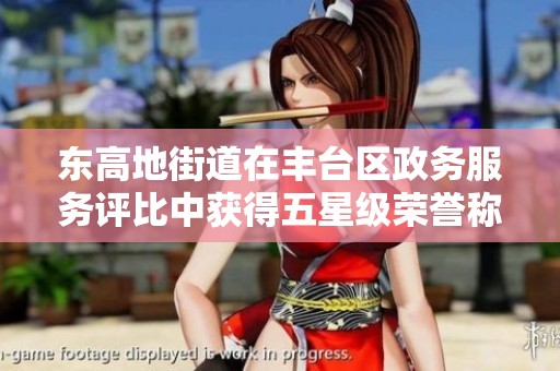 东高地街道在丰台区政务服务评比中获得五星级荣誉称号