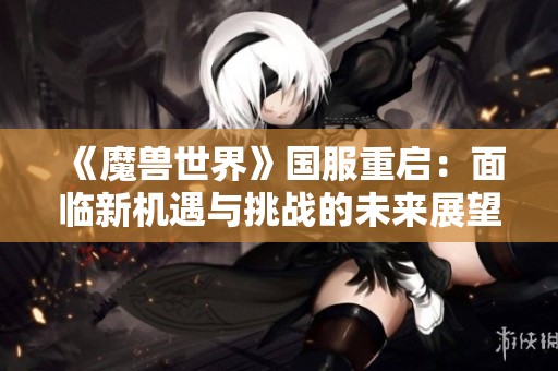 《魔兽世界》国服重启：面临新机遇与挑战的未来展望
