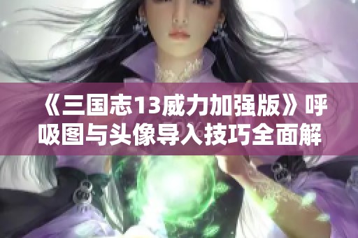 《三国志13威力加强版》呼吸图与头像导入技巧全面解析分享