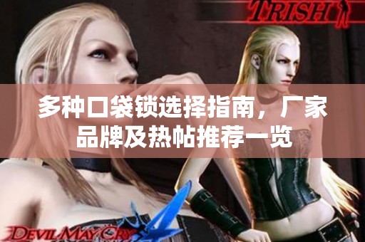 多种口袋锁选择指南，厂家品牌及热帖推荐一览