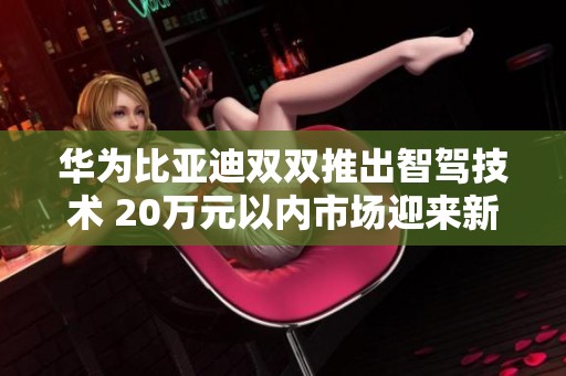 华为比亚迪双双推出智驾技术 20万元以内市场迎来新变革