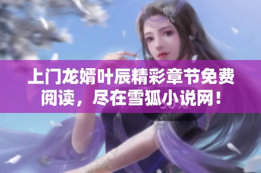 上门龙婿叶辰精彩章节免费阅读，尽在雪狐小说网！