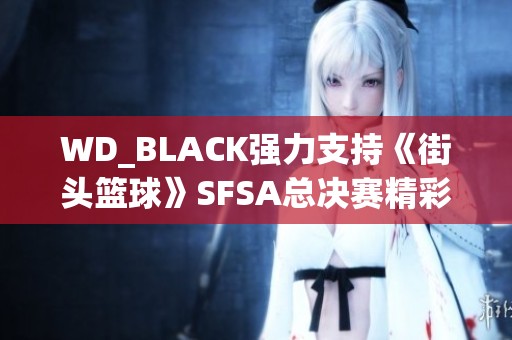 WD_BLACK强力支持《街头篮球》SFSA总决赛精彩赛事盛况回顾