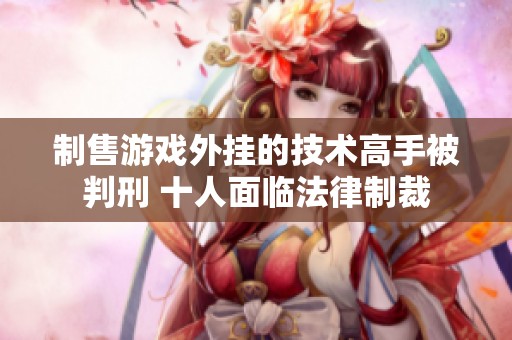 制售游戏外挂的技术高手被判刑 十人面临法律制裁