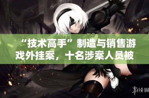“技术高手”制造与销售游戏外挂案，十名涉案人员被判刑