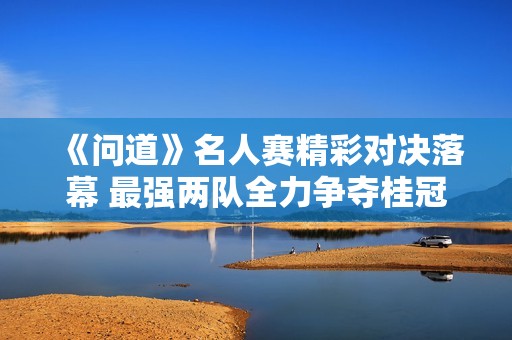 《问道》名人赛精彩对决落幕 最强两队全力争夺桂冠