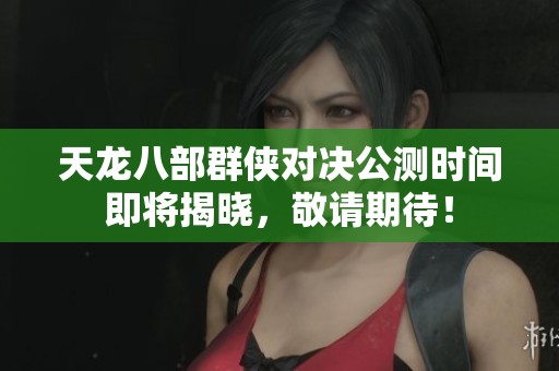 天龙八部群侠对决公测时间即将揭晓，敬请期待！