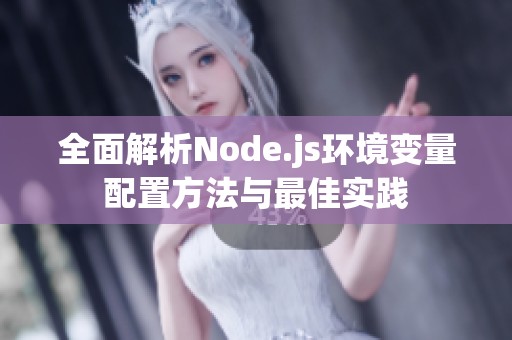 全面解析Node.js环境变量配置方法与最佳实践