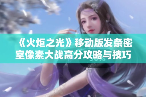 《火炬之光》移动版发条密室像素大战高分攻略与技巧分享