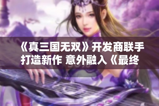 《真三国无双》开发商联手打造新作 意外融入《最终幻想》元素