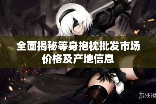 全面揭秘等身抱枕批发市场价格及产地信息