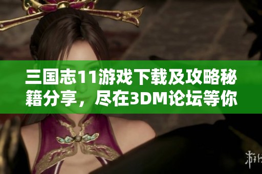 三国志11游戏下载及攻略秘籍分享，尽在3DM论坛等你来探讨