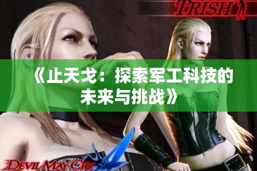 《止天戈：探索军工科技的未来与挑战》