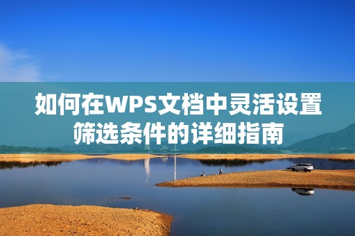 如何在WPS文档中灵活设置筛选条件的详细指南