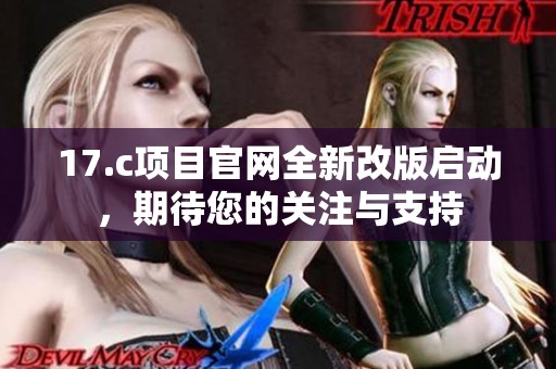 17.c项目官网全新改版启动，期待您的关注与支持