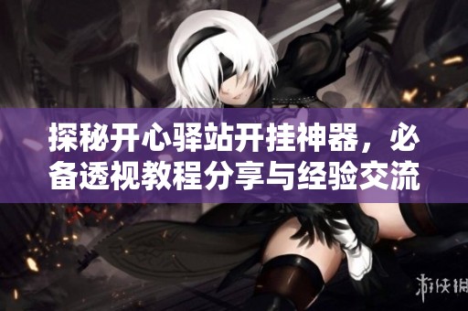 探秘开心驿站开挂神器，必备透视教程分享与经验交流