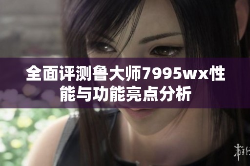 全面评测鲁大师7995wx性能与功能亮点分析