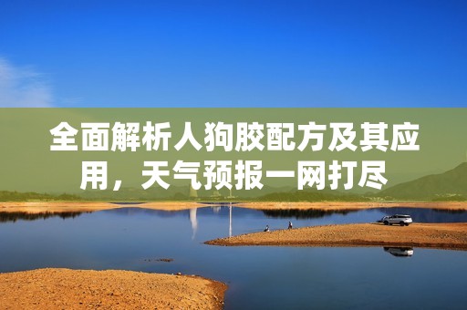 全面解析人狗胶配方及其应用，天气预报一网打尽