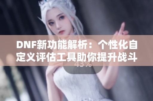 DNF新功能解析：个性化自定义评估工具助你提升战斗实力