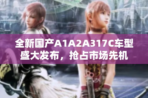 全新国产A1A2A317C车型盛大发布，抢占市场先机