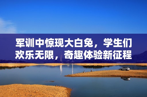 军训中惊现大白兔，学生们欢乐无限，奇趣体验新征程