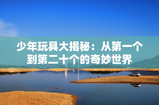 少年玩具大揭秘：从第一个到第二十个的奇妙世界
