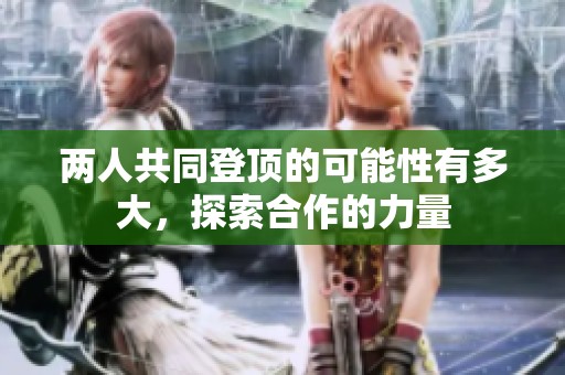 两人共同登顶的可能性有多大，探索合作的力量