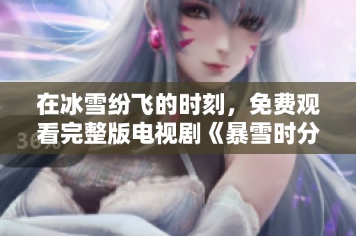 在冰雪纷飞的时刻，免费观看完整版电视剧《暴雪时分》