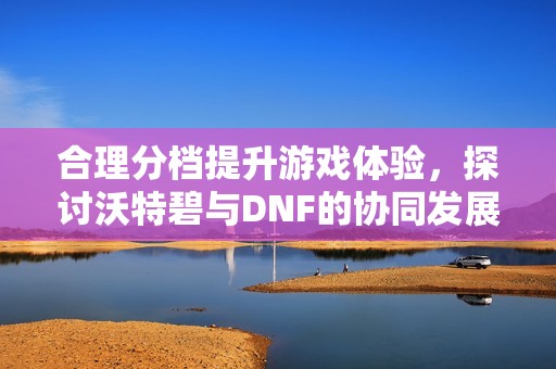 合理分档提升游戏体验，探讨沃特碧与DNF的协同发展
