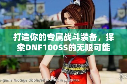 打造你的专属战斗装备，探索DNF100SS的无限可能