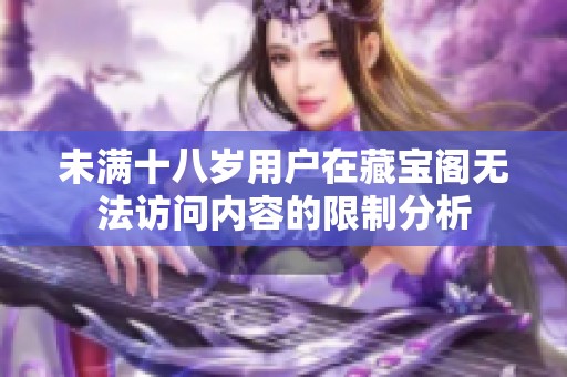 未满十八岁用户在藏宝阁无法访问内容的限制分析