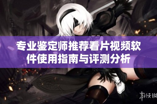 专业鉴定师推荐看片视频软件使用指南与评测分析