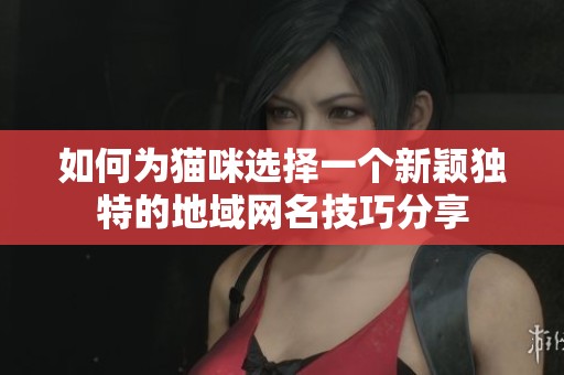 如何为猫咪选择一个新颖独特的地域网名技巧分享