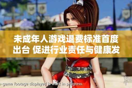未成年人游戏退费标准首度出台 促进行业责任与健康发展