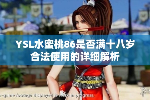 YSL水蜜桃86是否满十八岁合法使用的详细解析