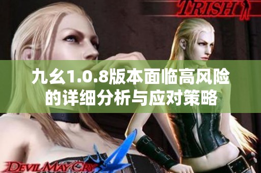 九幺1.0.8版本面临高风险的详细分析与应对策略