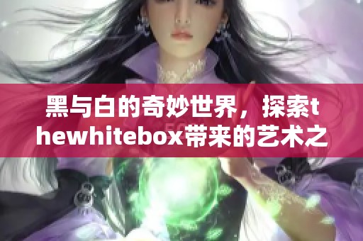 黑与白的奇妙世界，探索thewhitebox带来的艺术之旅