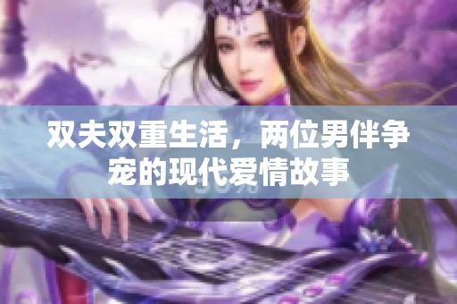 双夫双重生活，两位男伴争宠的现代爱情故事