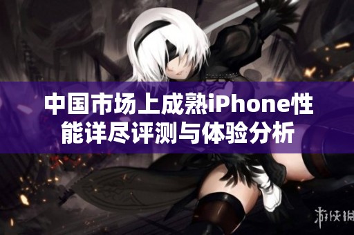中国市场上成熟iPhone性能详尽评测与体验分析