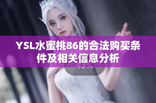 YSL水蜜桃86的合法购买条件及相关信息分析