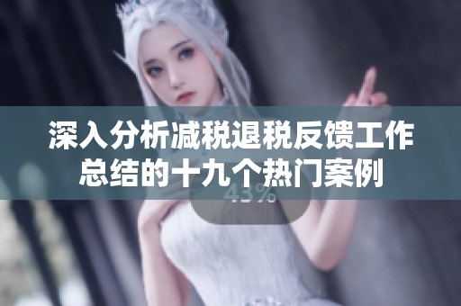 深入分析减税退税反馈工作总结的十九个热门案例