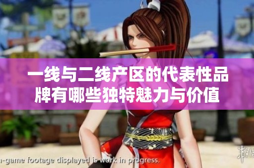 一线与二线产区的代表性品牌有哪些独特魅力与价值