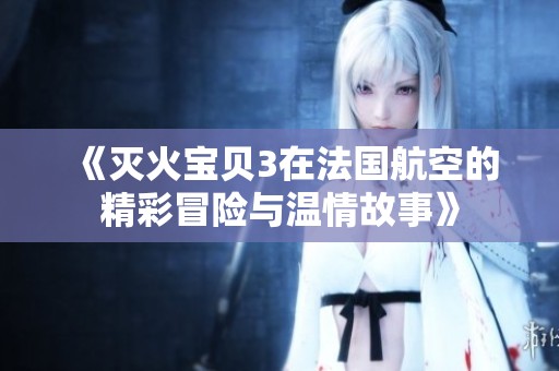 《灭火宝贝3在法国航空的精彩冒险与温情故事》