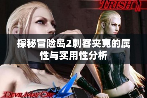探秘冒险岛2刺客夹克的属性与实用性分析