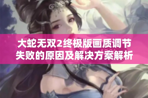 大蛇无双2终极版画质调节失败的原因及解决方案解析