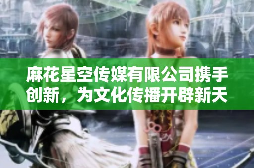 麻花星空传媒有限公司携手创新，为文化传播开辟新天地