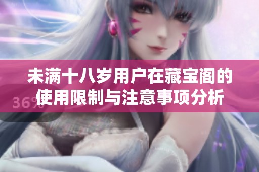 未满十八岁用户在藏宝阁的使用限制与注意事项分析