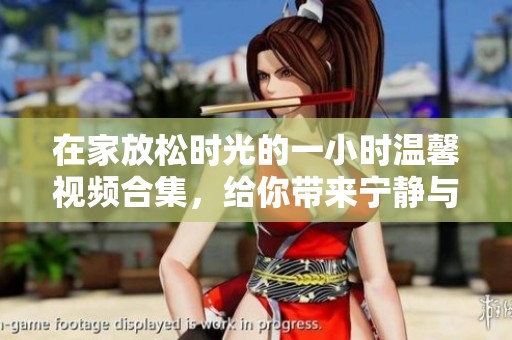 在家放松时光的一小时温馨视频合集，给你带来宁静与舒适