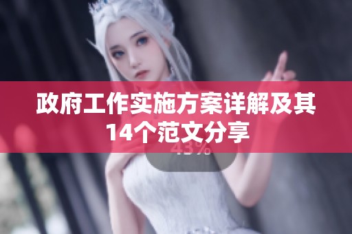 政府工作实施方案详解及其14个范文分享