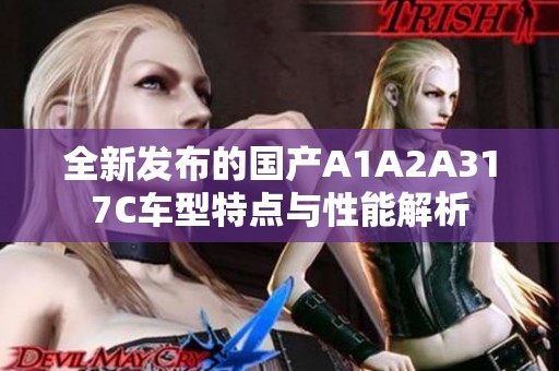 全新发布的国产A1A2A317C车型特点与性能解析
